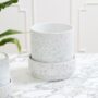Claxton Pot with Saucer – White – 10″